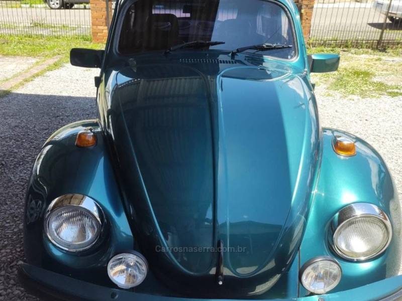 VOLKSWAGEN - FUSCA - 1995/1996 - Cinza - R$ 55.900,00